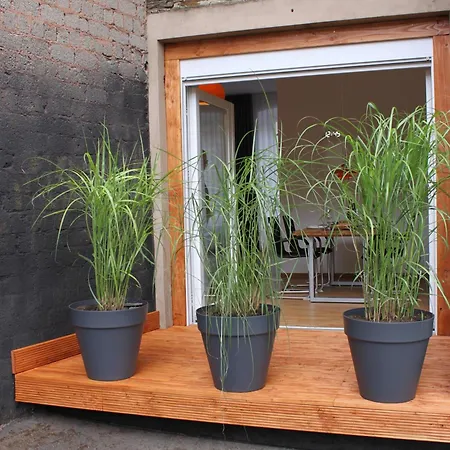 Moselloft Zeltingen-Rachtig Apartment Exterior photo